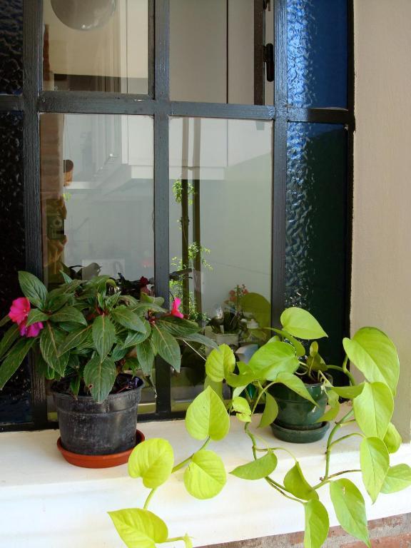 La Demorada Bed & Breakfast San Antonio de Areco Dış mekan fotoğraf