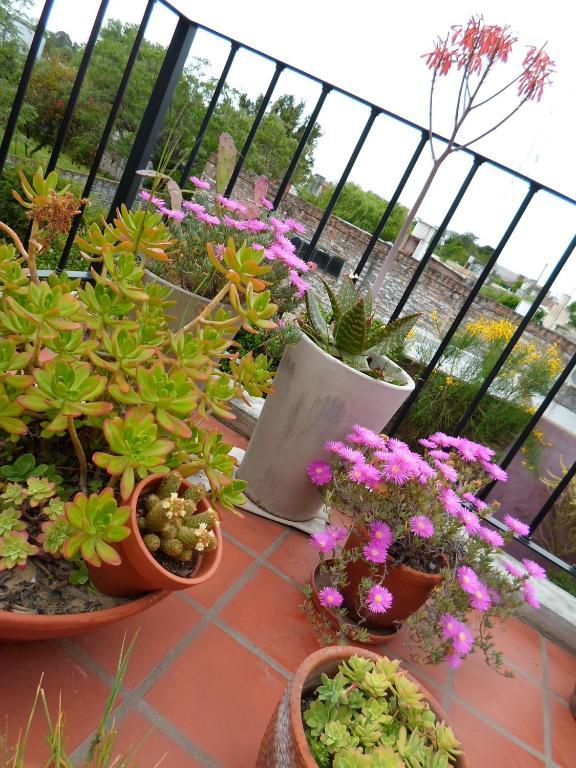 La Demorada Bed & Breakfast San Antonio de Areco Dış mekan fotoğraf